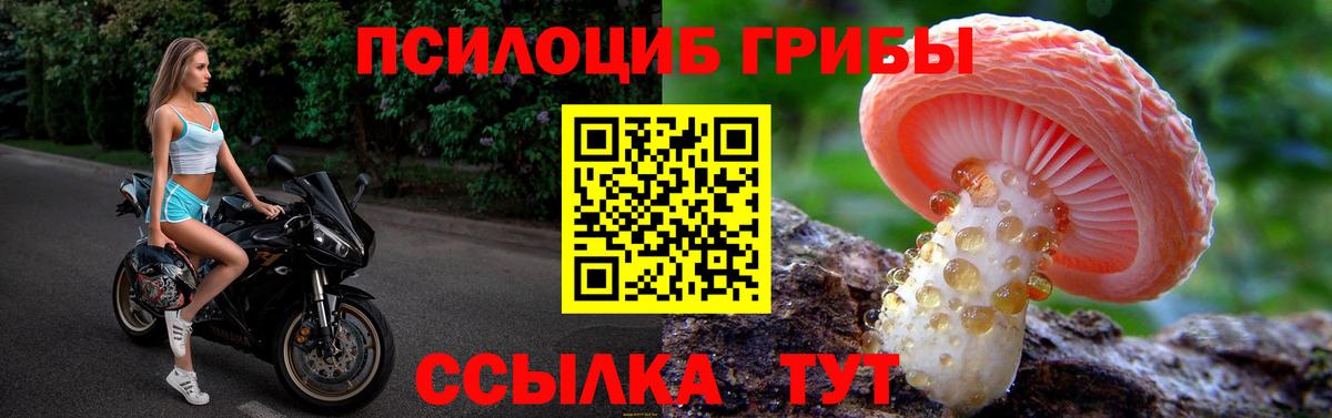 Псилоцибиновые грибы Cubensis Советск